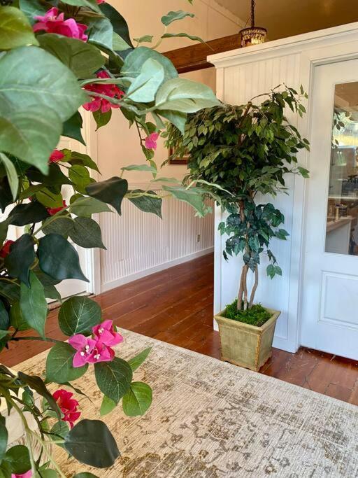The Shopkeeper'S Cottage ~ Chic! Amador City Extérieur photo